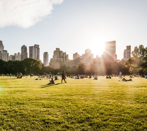 Manhattan skyline view from Central Park